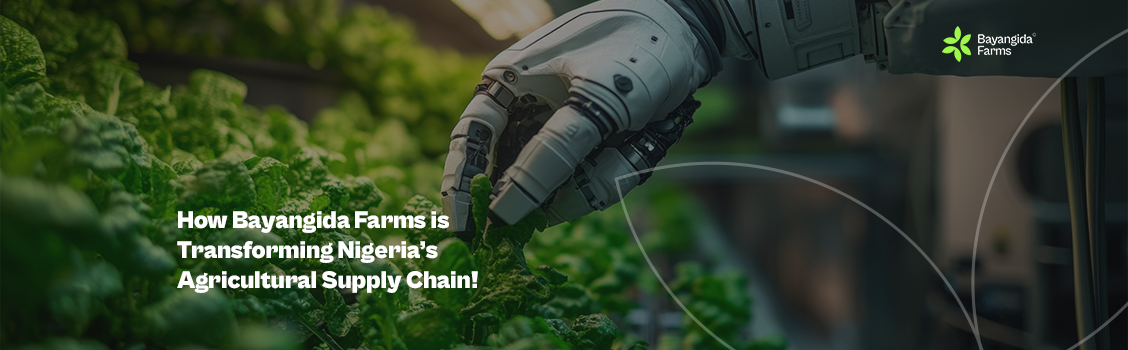 How to Buy Fresh Farm Produce Online in Nigeria with Bayangida Farms!