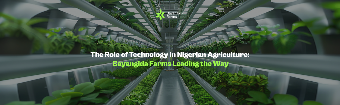 The Role of Technology in Nigerian Agriculture: Bayangida Farms Leading the Way
